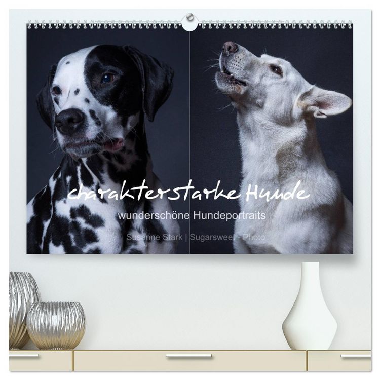Produktbild: charakterstarke Hunde, wundersch&ouml;ne Hundeportraits (hochwertiger Premium Wandkalender 2026 DIN A2 quer), Kunstdruck in Hochglanz