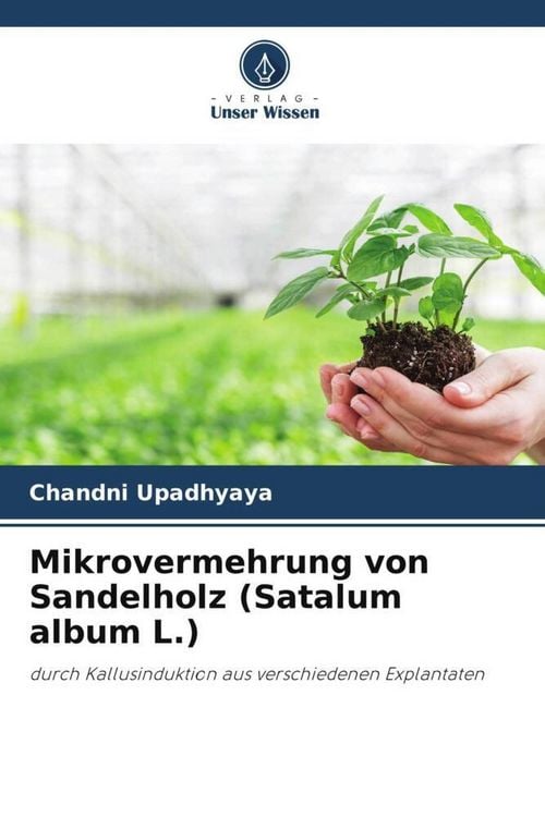 Produktbild: Mikrovermehrung von Sandelholz (Satalum album L.)