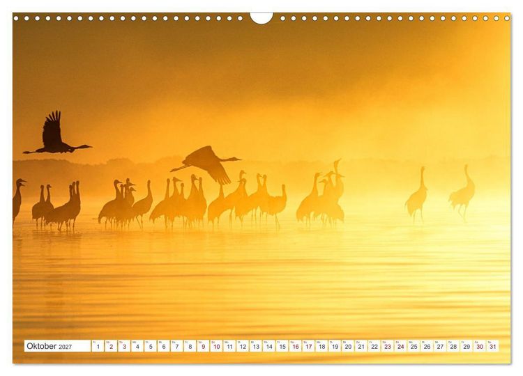 Produktbild: Natur und Tierparadies (Wandkalender 2027 DIN A3 quer), CALVENDO Monatskalender