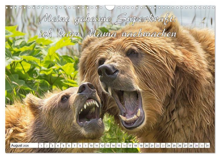 Produktbild: Tierbabies - Spruchkalender (Wandkalender 2026 DIN A3 quer), CALVENDO Monatskalender
