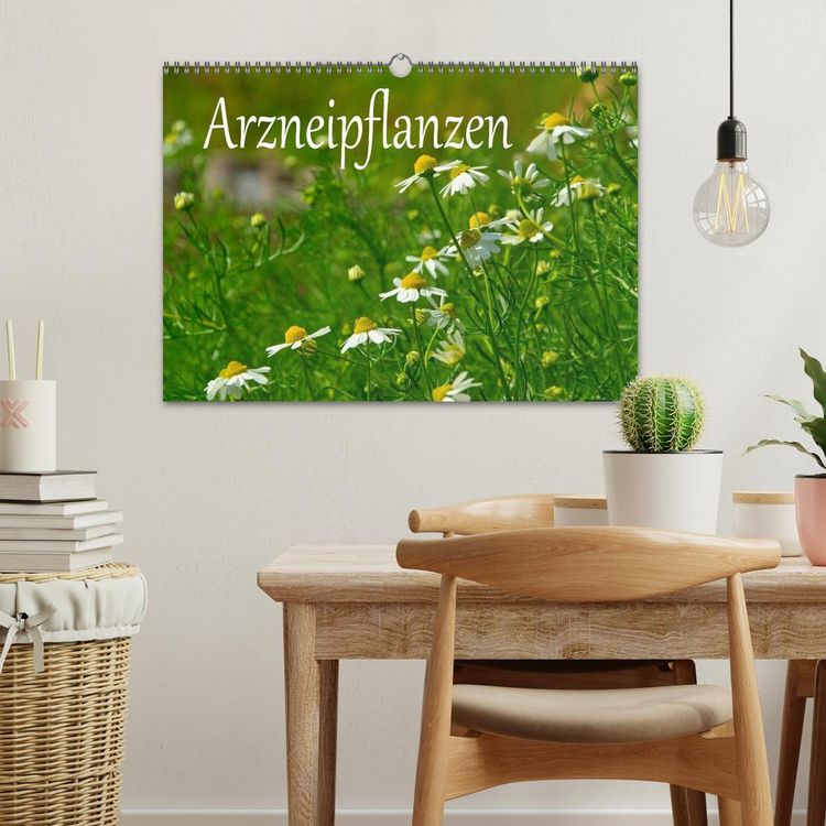 Produktbild: Arzneipflanzen (Wandkalender 2026 DIN A3 quer), CALVENDO Monatskalender