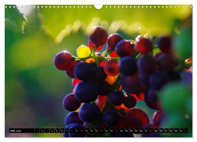Produktbild: LE VIN (Calendrier mural 2026 DIN A3 vertical), CALVENDO calendrier mensuel