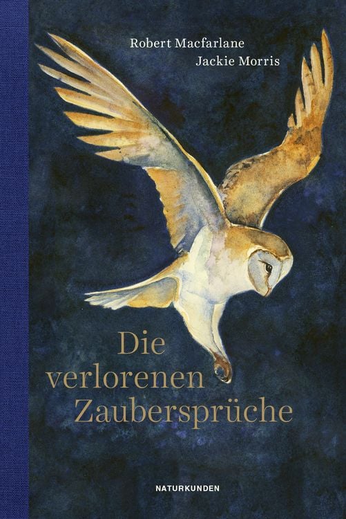 Produktbild: Die verlorenen Zauberspr&uuml;che