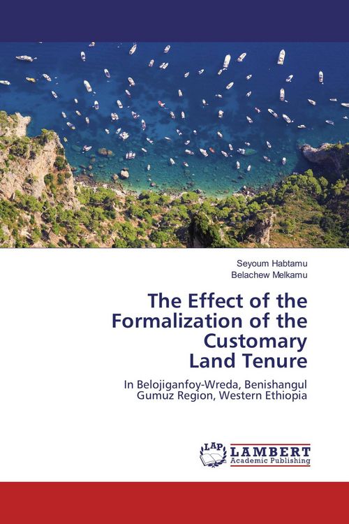 Produktbild: The Effect of the Formalization of the Customary Land Tenure