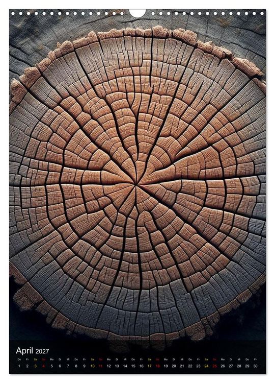 Produktbild: Geometrie der Natur &ndash; Formen, Muster, Strukturen (Wandkalender 2027 DIN A3 hoch), CALVENDO Monatskalender