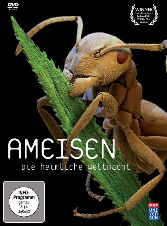 Produktbild: Ameisen - Die heimliche Weltmacht