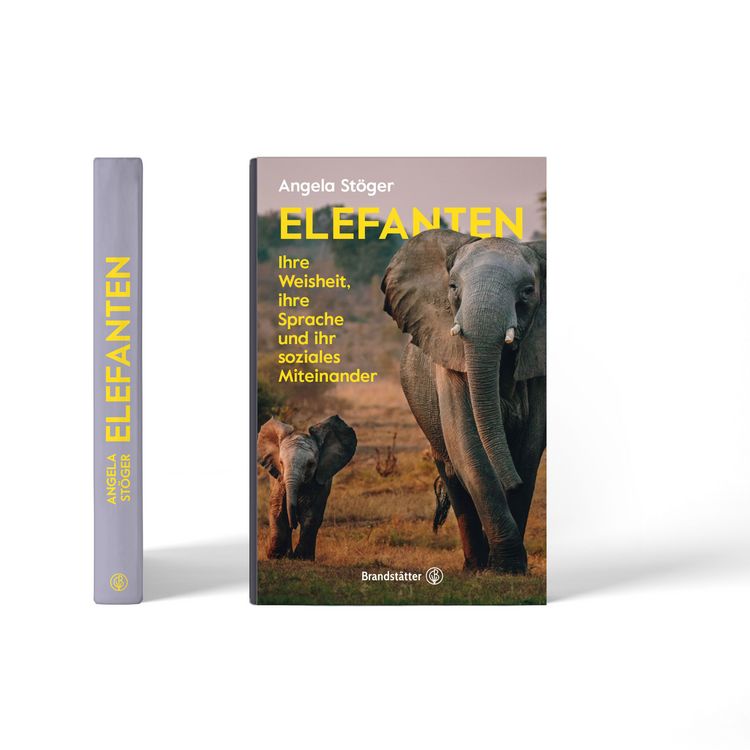 Produktbild: Elefanten