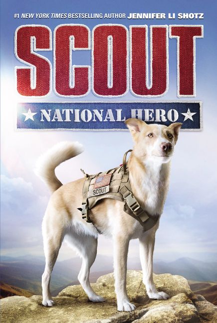 Produktbild: Scout: National Hero