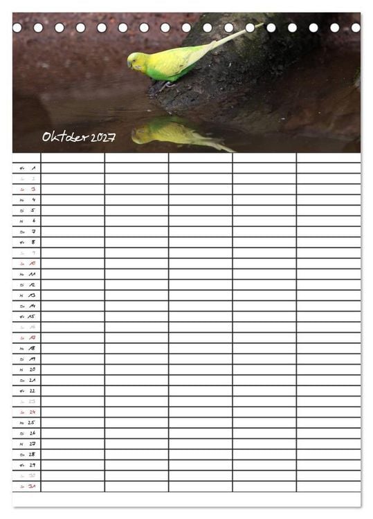 Produktbild: Wellensittiche (Tischkalender 2027 DIN A5 hoch), CALVENDO Monatskalender