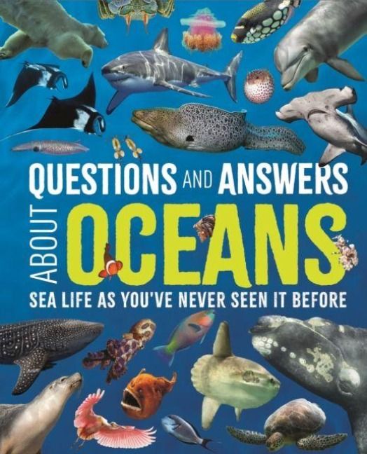 Produktbild: Questions and Answers About Oceans
