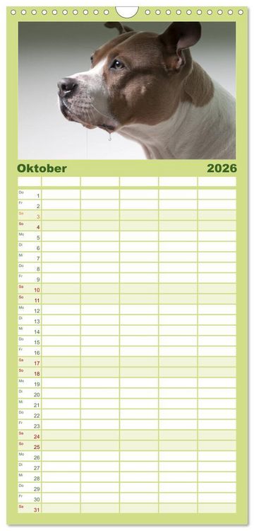 Produktbild: Familienplaner 2026 - American Staff und Co. mit 5 Spalten (Wandkalender, 21 x 45 cm) CALVENDO