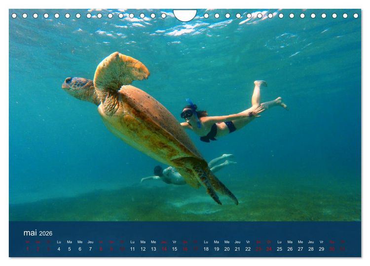 Produktbild: Autour de Nosy Be (Calendrier mural 2026 DIN A4 vertical), CALVENDO calendrier mensuel