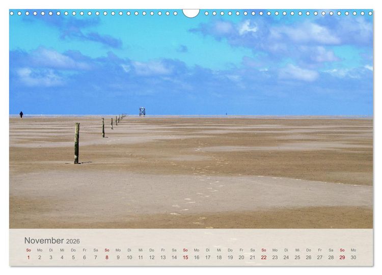 Produktbild: Salzwiesen, Schafe und Watt - Westerhever, ein Naturparadies an der Nordsee (Wandkalender 2026 DIN A3 quer), CALVENDO Monatskalender