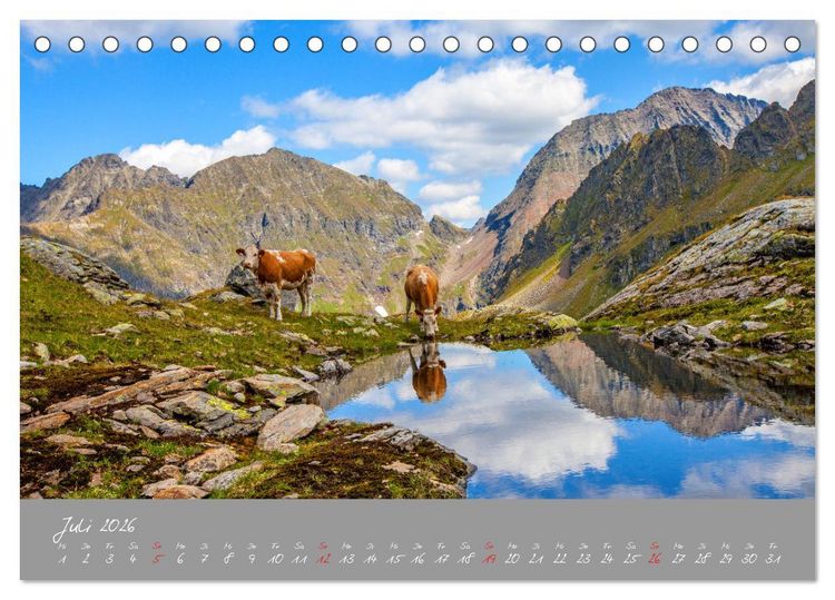 Produktbild: Friedliche K&uuml;he (Tischkalender 2026 DIN A5 quer), CALVENDO Monatskalender