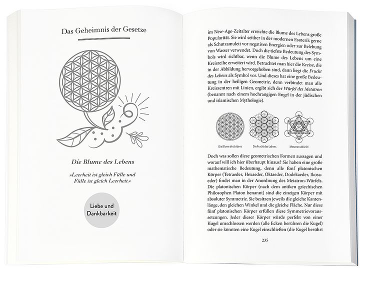 Produktbild: Higher Mind. Die Gesetze des Bewusstseins
