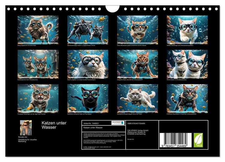 Produktbild: Katzen unter Wasser (Wandkalender 2026 DIN A4 quer), CALVENDO Monatskalender