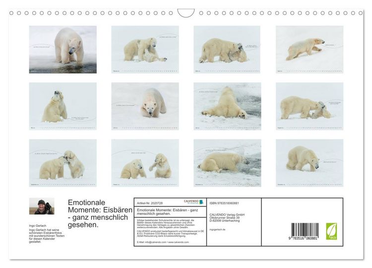 Produktbild: Emotionale Momente: Eisb&auml;ren - ganz menschlich gesehen. (Wandkalender 2026 DIN A3 quer), CALVENDO Monatskalender