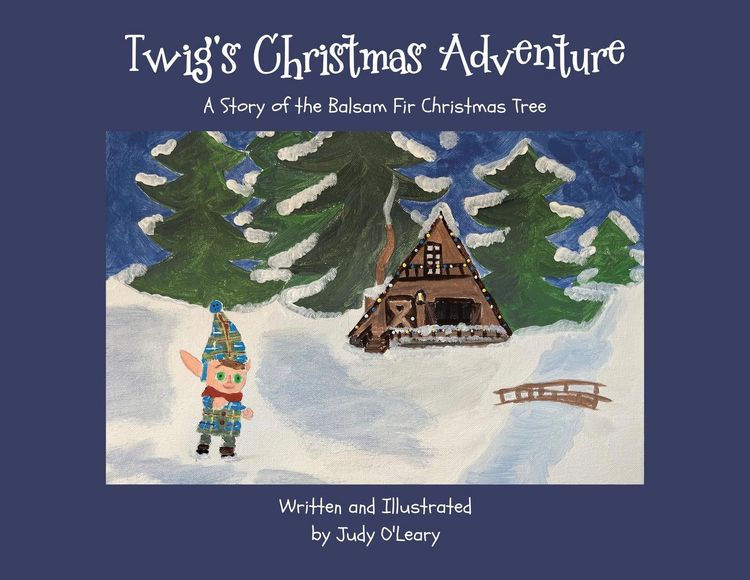 Produktbild: Twig's Christmas Adventure