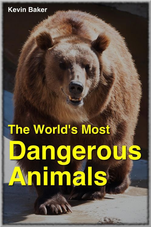 Produktbild: The World's Most Dangerous Animals