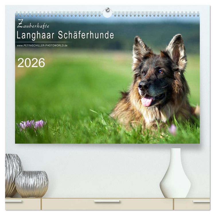 Produktbild: Zauberhafte Langhaar Sch&auml;ferhunde (hochwertiger Premium Wandkalender 2026 DIN A2 quer), Kunstdruck in Hochglanz