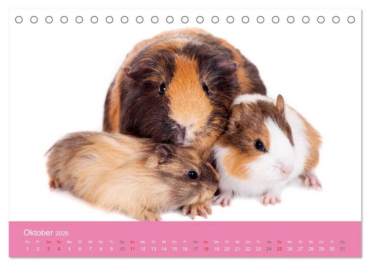 Produktbild: S&uuml;&szlig;e Tier-Babys! (Tischkalender 2026 DIN A5 quer), CALVENDO Monatskalender