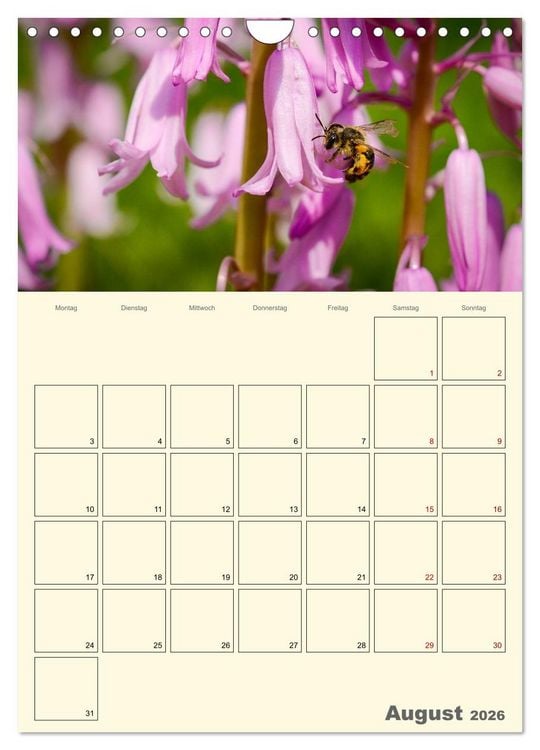 Produktbild: Bienen im Naturgarten (Wandkalender 2026 DIN A4 hoch), CALVENDO Monatskalender
