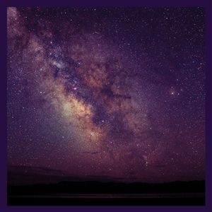 Produktbild: Introspection