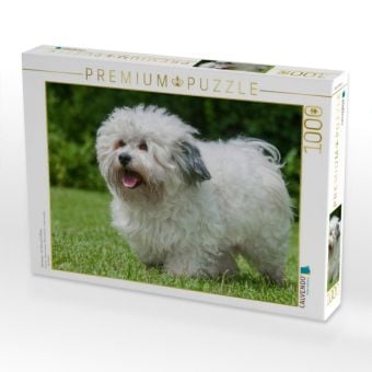 Produktbild: CALVENDO Puzzle Havaneser - Ein Herz auf 4 Pfoten | 1000 Teile Lege-Gr&ouml;&szlig;e 64x48cm Foto-Puzzle f&uuml;r gl&uuml;ckliche Stunden