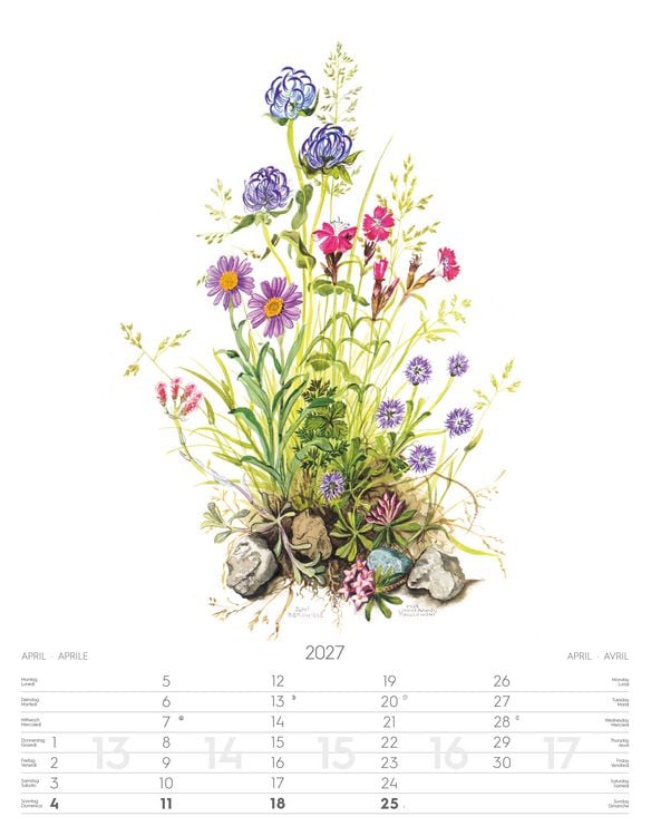Produktbild: Alpenblumen-Aquarelle Kalender 2027