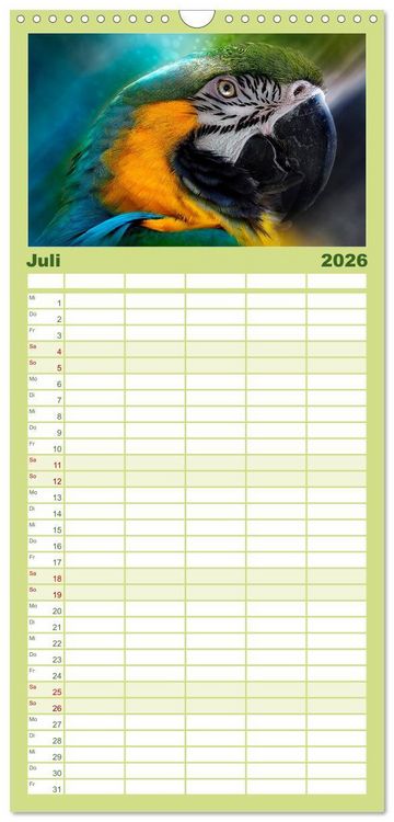 Produktbild: Familienplaner 2026 - Mein bunter Papagei mit 5 Spalten (Wandkalender, 21 x 45 cm) CALVENDO