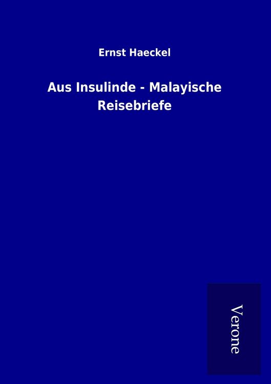Produktbild: Aus Insulinde - Malayische Reisebriefe