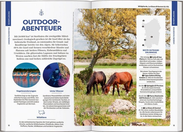 Produktbild: LONELY PLANET Reisef&uuml;hrer Sardinien