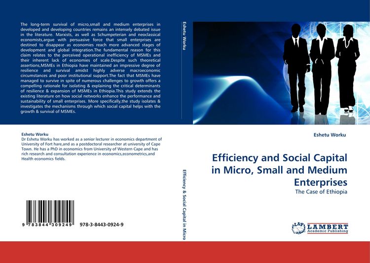 Produktbild: Efficiency and Social Capital in Micro, Small and Medium Enterprises