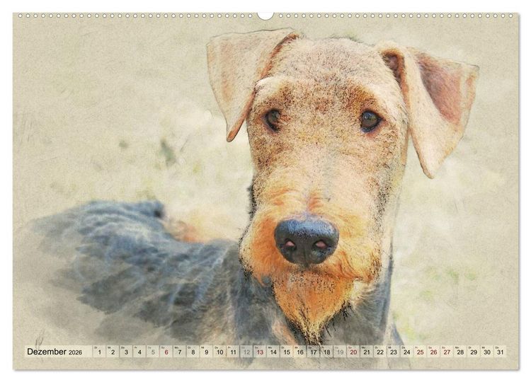 Produktbild: Airedale Terrier 2026 (hochwertiger Premium Wandkalender 2026 DIN A2 quer), Kunstdruck in Hochglanz