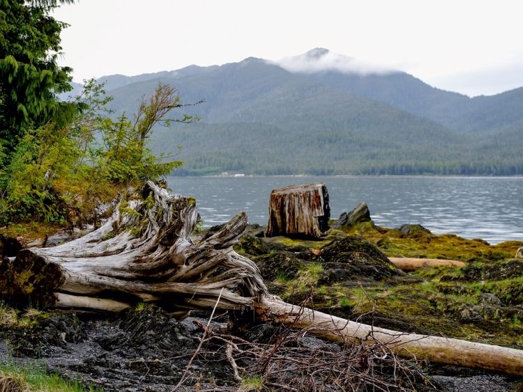 Produktbild: CALVENDO Puzzle Nahe Ketchikan Alaska USA | 1000 Teile Lege-Gr&ouml;&szlig;e 64x48cm Foto-Puzzle f&uuml;r gl&uuml;ckliche Stunden