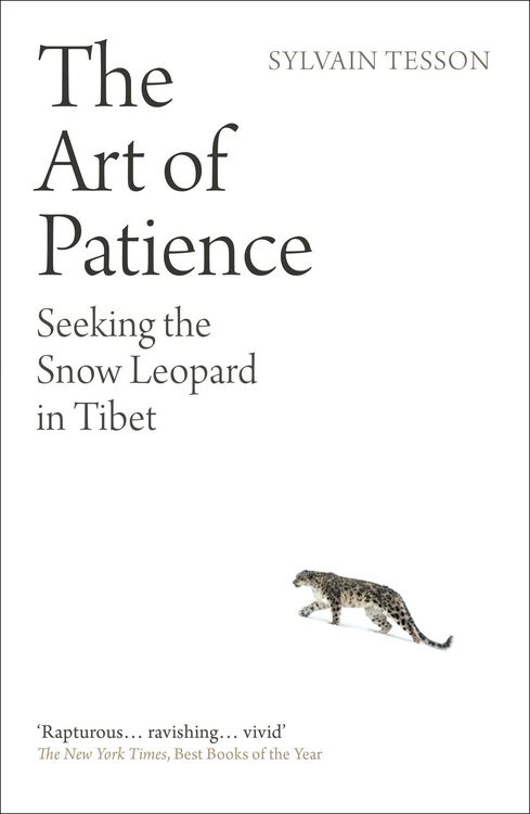 Produktbild: The Art of Patience