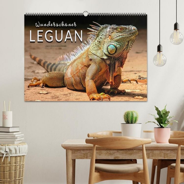 Produktbild: Wundersch&ouml;ner Leguan (Wandkalender 2026 DIN A2 quer), CALVENDO Monatskalender