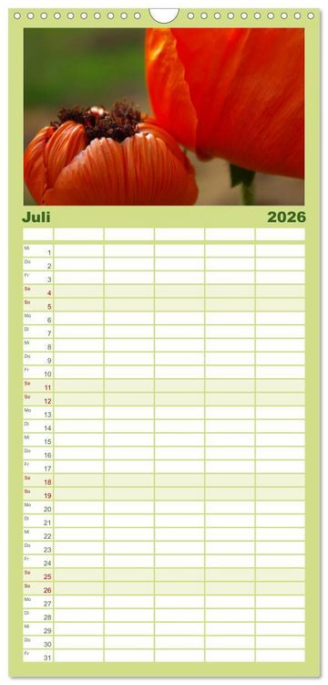 Produktbild: Familienplaner 2026 - Mohnblumen Tr&auml;ume mit 5 Spalten (Wandkalender, 21 x 45 cm) CALVENDO