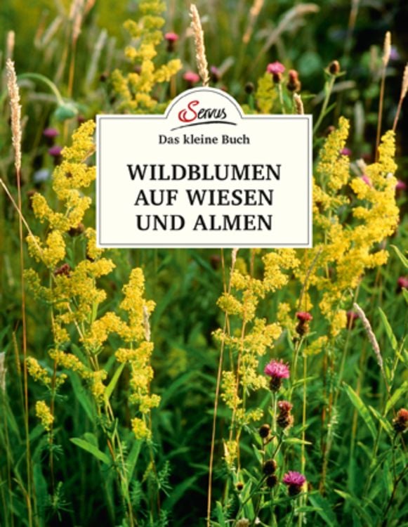 Produktbild: Das kleine Buch: Wildblumen auf Wiesen und Almen