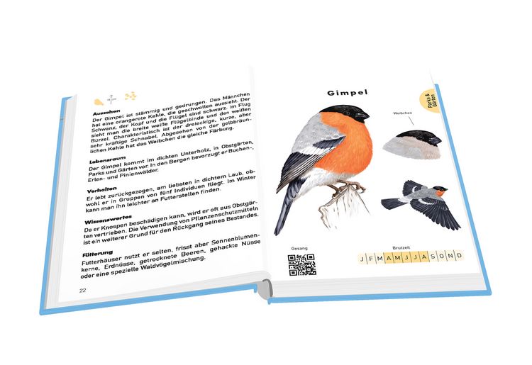 Produktbild: Anaconda Taschenf&uuml;hrer V&ouml;gel. 70 Arten bestimmen und entdecken