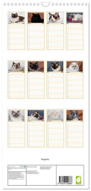 Produktbild: Familienplaner 2026 - Ragdolls mit 5 Spalten (Wandkalender, 21 x 45 cm) CALVENDO