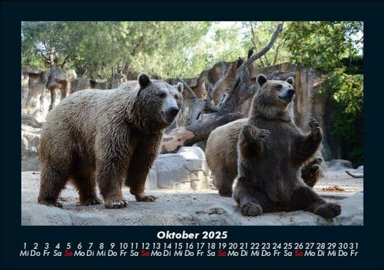 Produktbild: Tierkalender 2025 Fotokalender DIN A5