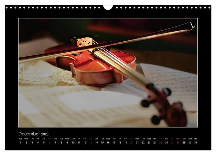Produktbild: A violin only (Wall Calendar 2026 DIN A3 landscape), CALVENDO 12 Month Wall Calendar