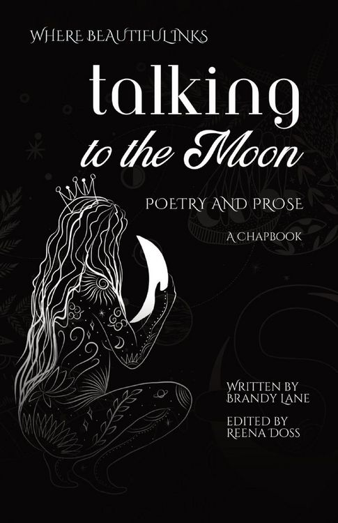 Produktbild: Talking to the Moon