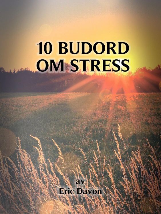 Produktbild: 10 budord om stress