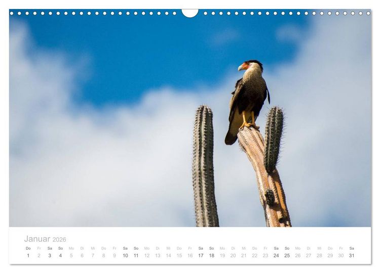 Produktbild: Trauminsel Cura&ccedil;ao (Wandkalender 2026 DIN A3 quer), CALVENDO Monatskalender