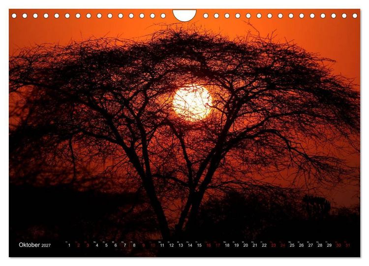 Produktbild: Afrika - Zauber der Wildnis (Wandkalender 2027 DIN A4 quer), CALVENDO Monatskalender