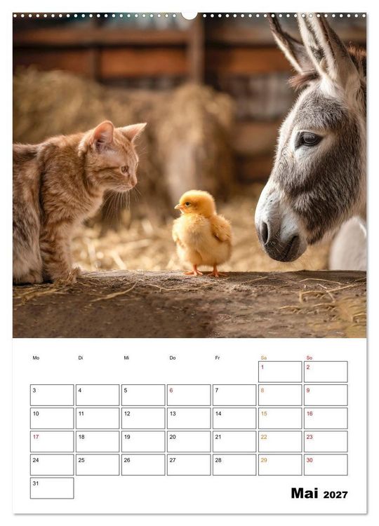 Produktbild: Ein Herz und eine Schnauze - Ein tierisch buntes Miteinander (hochwertiger Premium Wandkalender 2027 DIN A2 hoch), Kunstdruck in Hochglanz