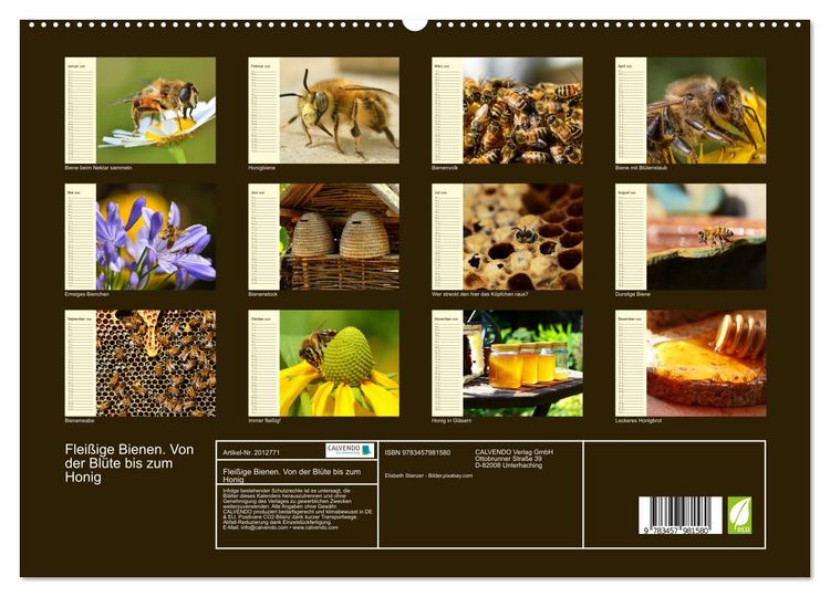 Produktbild: Flei&szlig;ige Bienen. Von der Bl&uuml;te bis zum Honig (hochwertiger Premium Wandkalender 2026 DIN A2 quer), Kunstdruck in Hochglanz