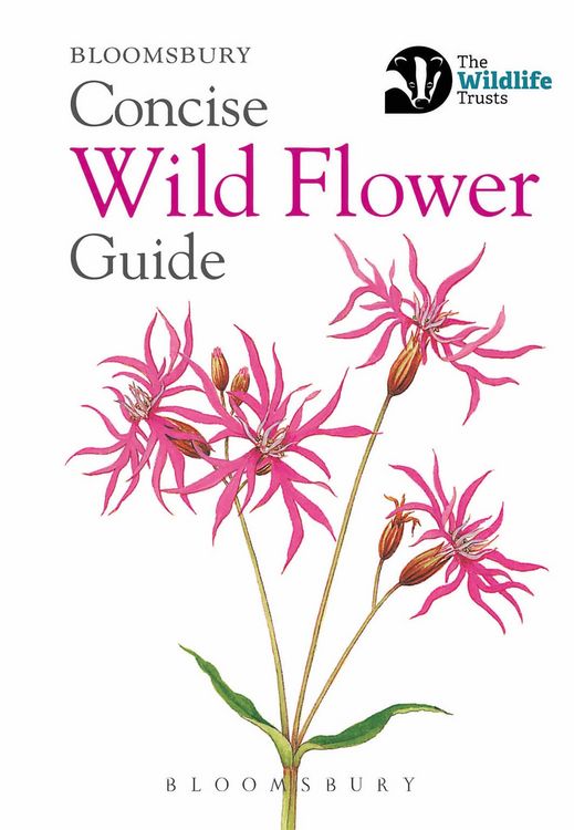 Produktbild: Concise Wild Flower Guide